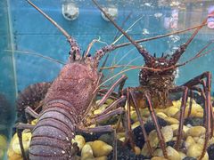 -金迎海鲜酒家(金凤凰广场店)