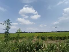 -小陆莲花蟹园农家乐(莲花岛店)