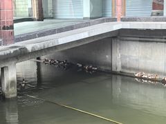 -浙江省博物馆(孤山馆区)