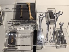 -北京周口店北京人遗址博物馆