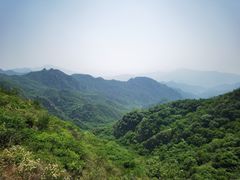-大岭沟猕猴桃谷风景区