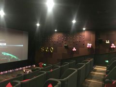 -大地影院(上海南汇店)