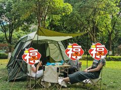 -重庆彩云湖湿地公园