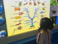 -上海昆虫博物馆