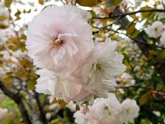 -少华山国家森林公园