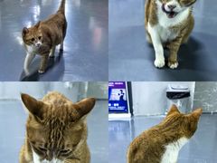 -蓝天射箭馆·专业射箭运动(诚丰广场店)