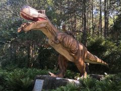 -森波拉奇妙世界