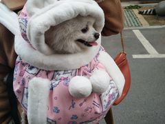 -宝岛眼镜(福中店)