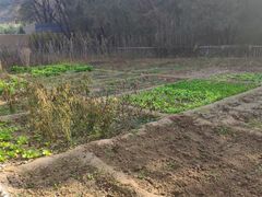 -延安杨家岭革命旧址