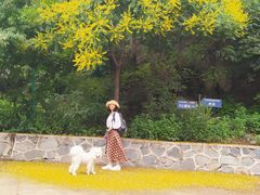 -大觉寺-停车场