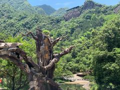 -龙湾潭国家森林公园