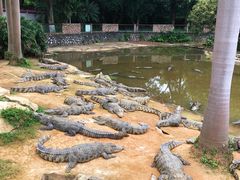 -南宁市动物园
