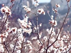 -北京密云天门山风景区