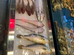 -威海小海鲜大排档胖哥烧烤(双井店)