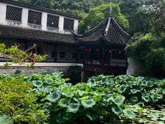-上海醉白池公园