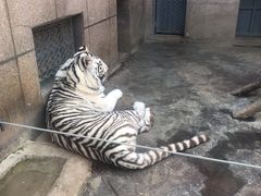-西安秦岭野生动物园
