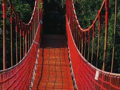 -上海吴淞炮台湾国家湿地公园