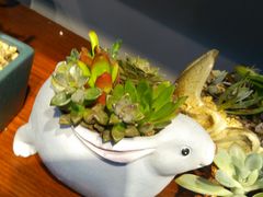 -何兮花店·气球派对鲜花店(马桥银春路万科城店)