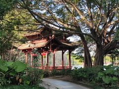 -西湖公园(鼓楼区)