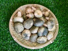 -山人野生菌餐厅