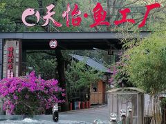 -天怡·鱼工厂(梅溪湖店)