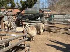 -清风小镇闯关东影视基地