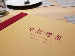 -觅唐MITONG(鸟巢店)