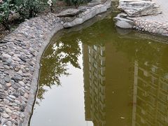 -华夏良子·足道SPA艾灸(三里屯店)