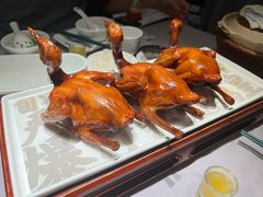 爆汁红烧鸽皇-大鸽饭(体育西路店)