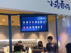 -春丽小马(济南恒隆广场店)