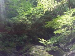 -牛背梁国家森林公园