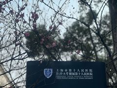 -上海市第十人民医院(总院)