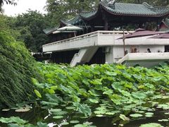 -桂湖森林公园
