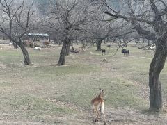 -西安秦岭野生动物园