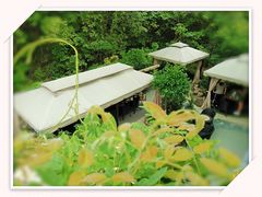 -龙猫意杯花园餐厅(芙蓉湖店)