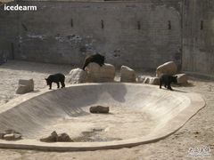 -石家庄市动物园