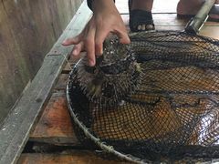 -蓝湾碧波·老字号·疍家非遗海上餐厅