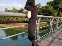 -聚龙山公园