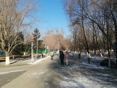 -长白岛森林公园