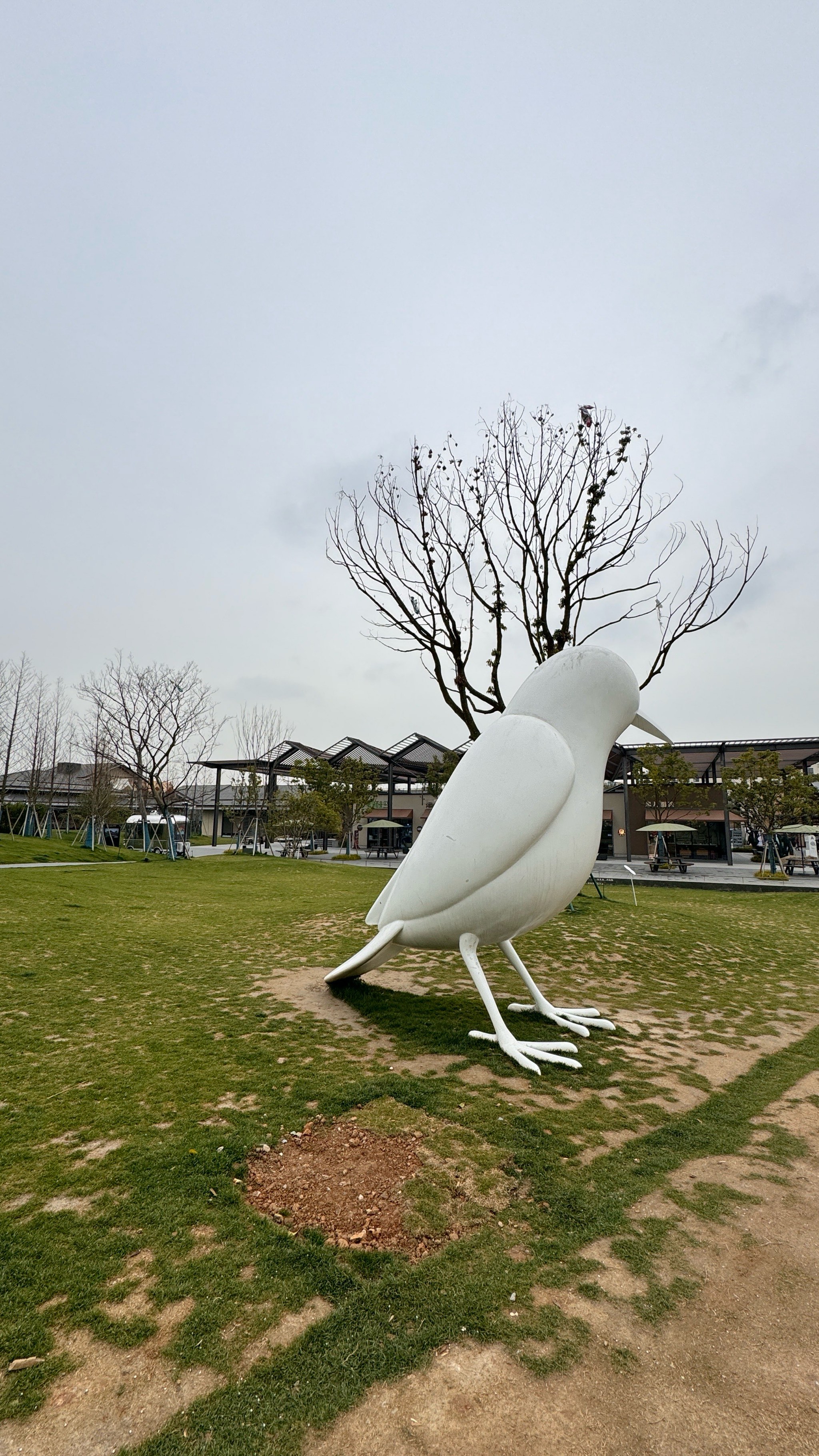 杭州良渚文化村一日游图片