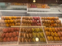 -Pierre Marcolini(德基广场店)