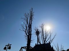 -重元寺香积厨素斋馆