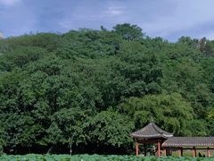 -龙头寺公园