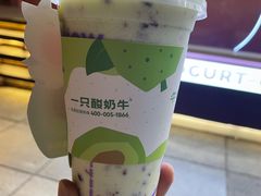 -一只酸奶牛(八一路店)