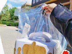 -咖咖熊蛋糕定制·蓝风车动物奶油