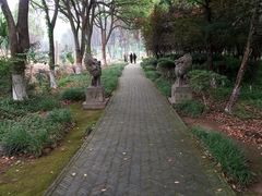 -白马涧龙池景区
