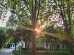 -河南省黄河迎宾馆