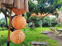 -桃源山庄·水蜜桃采摘·柴火鸡·烧烤团建(龙泉山店)