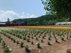 -富田农场