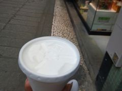 -洪馨椰子